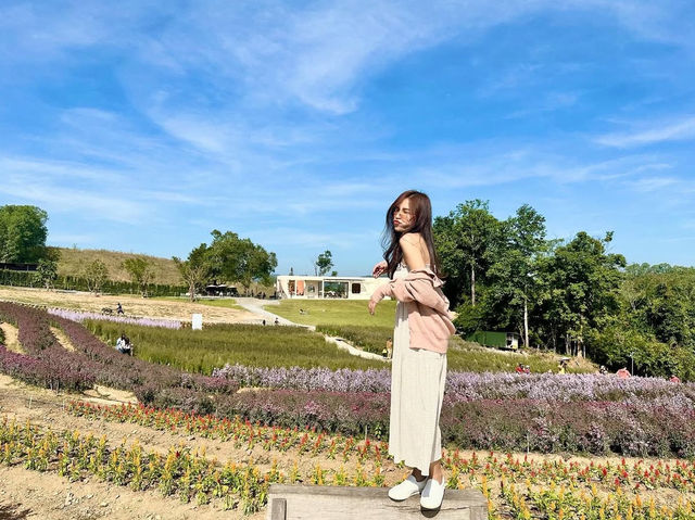 แพลนเที่ยว“เขาใหญ่” 1 DAY TRIP 🌸🌼