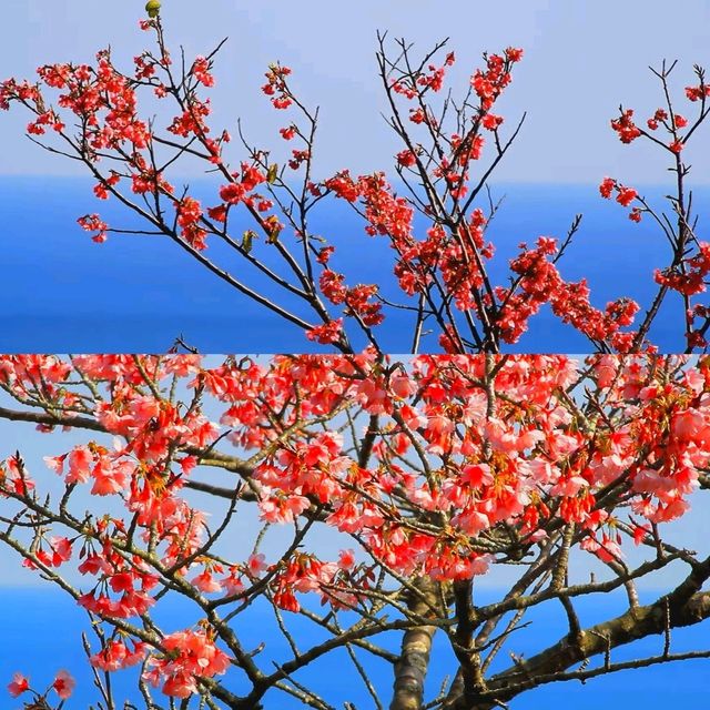 沖繩