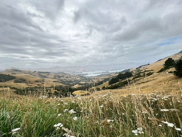 紐西蘭🇳🇿一段充滿冒險的旅行
