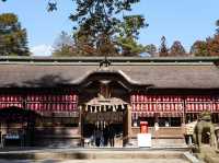 日本國寶神社⛩️仙台大崎八幡宮