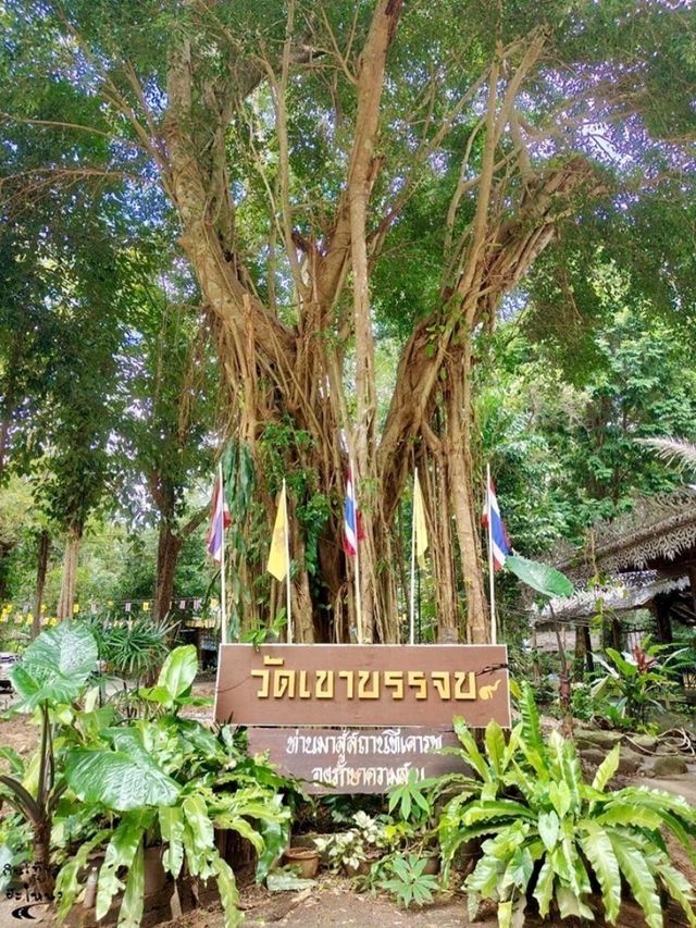 ลอดประตูสวรรค์ ✨วัดสวยกลางป่า 🌿