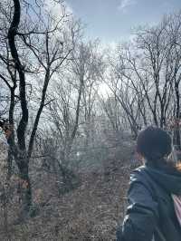 청계산 갔다가 겨울왕국 체험함…☃️🌿