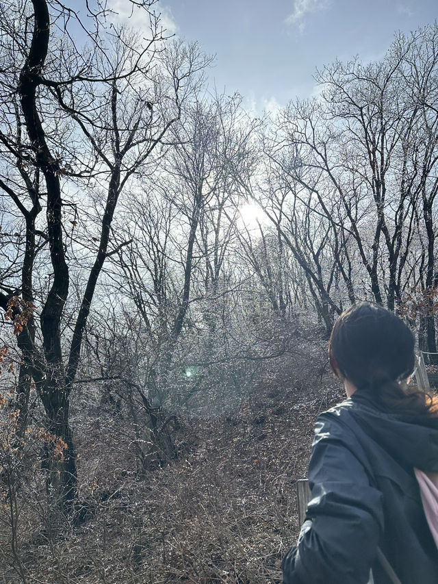 청계산 갔다가 겨울왕국 체험함…☃️🌿