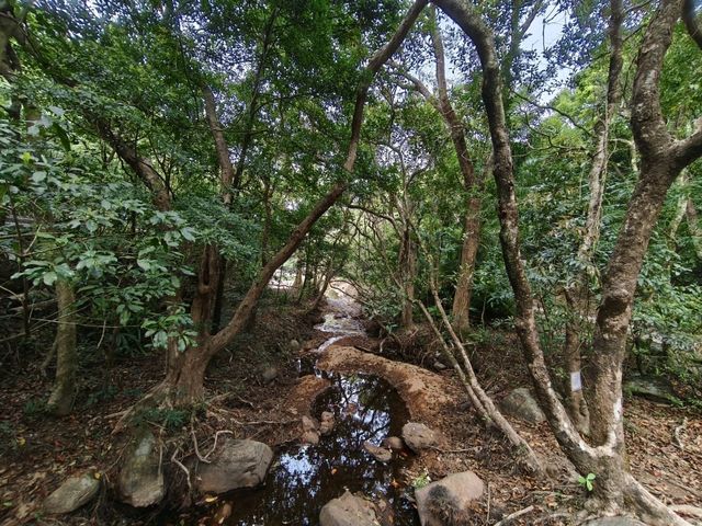 香港拍攝紅葉的好去處