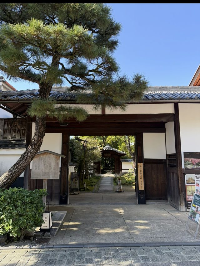 「圓徳院｜北政所ゆかりの寺院で枯山水と写経体験を楽しむ」