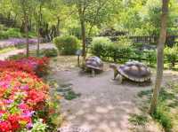 Buramsan Butterfly Park Flower Festival Review