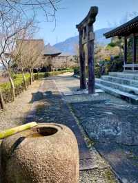 綺麗に整備された庭園が美しい