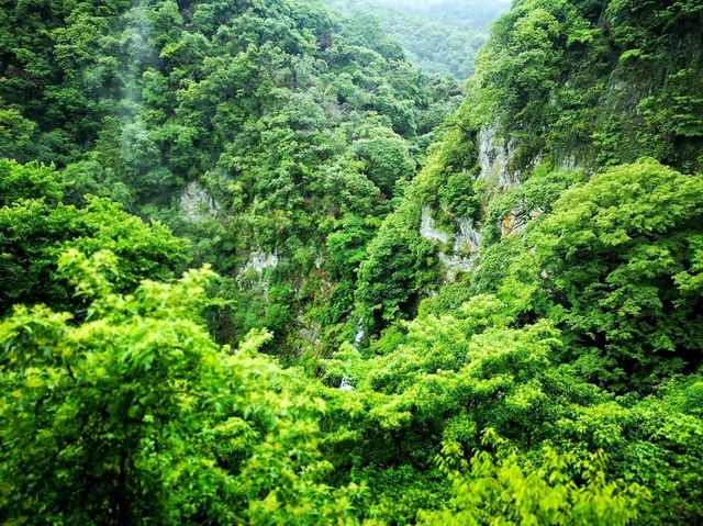 หุบเขามิโน (Minoo Park 箕面公園)
