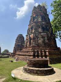 🇹🇭✅ワット・マハタート攻略ガイド｜アユタヤの神秘を体験 🌿