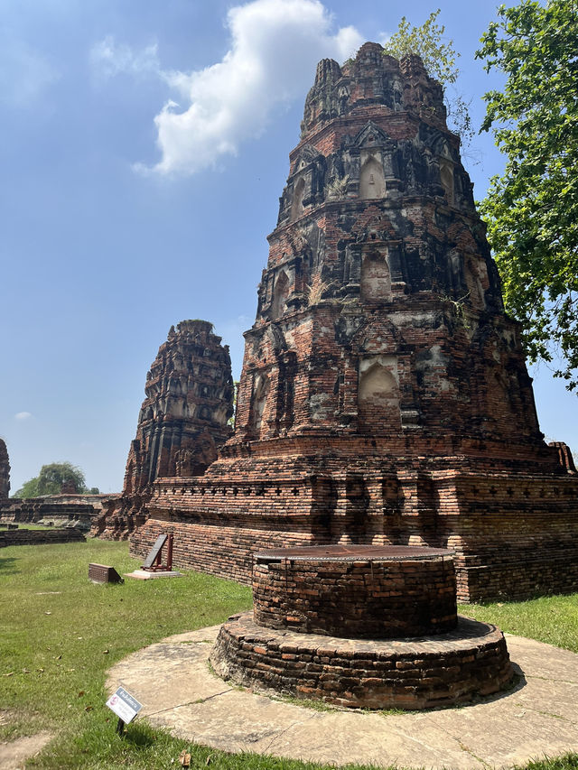 🇹🇭✅ワット・マハタート攻略ガイド｜アユタヤの神秘を体験 🌿
