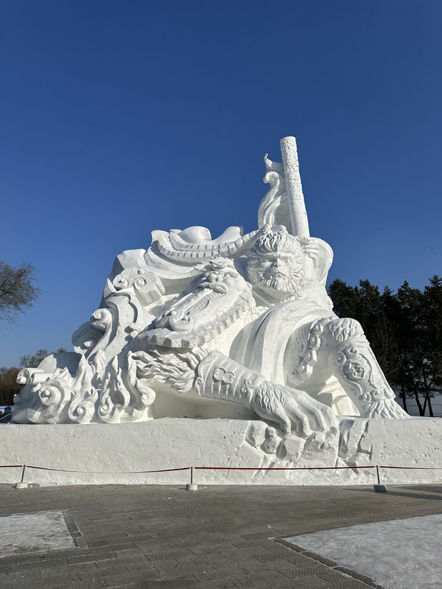 Amazing Harbin ❄️