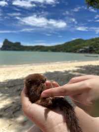 เกาะพีพี จังหวัดกระบี่🏖️🩵💐