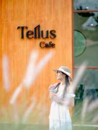 คาเฟ่เขาใหญ่ฟิลยุโรป