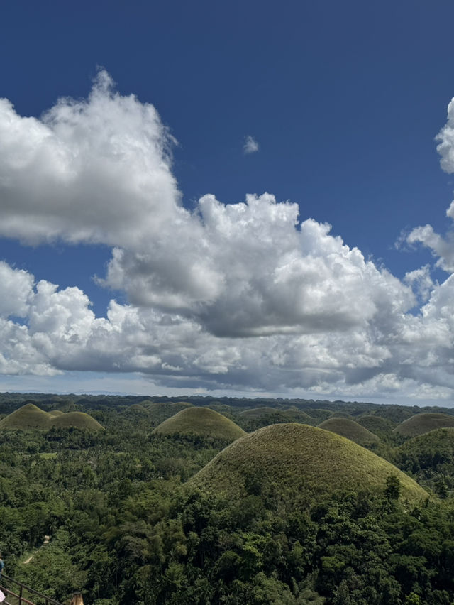 Panglao 4 Days Travel Guide 