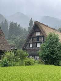 🏔飛騨高山　白川郷🏔´-