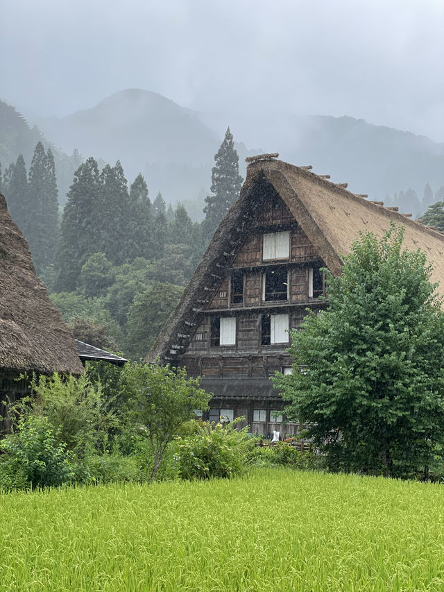 🏔飛騨高山　白川郷🏔´-