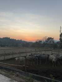 Chiang Mai 3 Days Travel Guide 