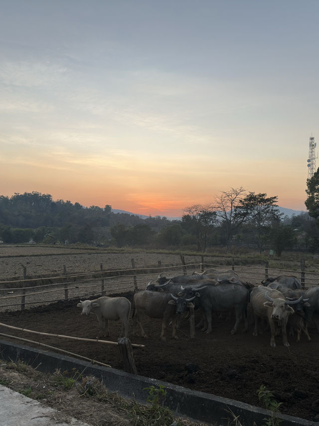 Chiang Mai 3 Days Travel Guide 