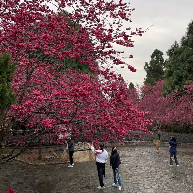 九族文化村