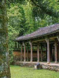Lishui: A Hidden Gem in Jiangnan 🌿🏡
