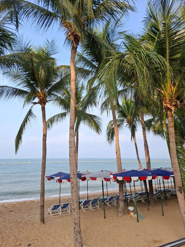 One day trip in Pattaya