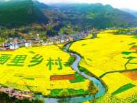 Explore and discover Shuangsha Town