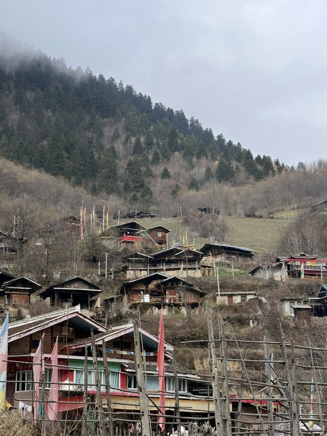 Culture Meets Art at ZhongCha Ditch