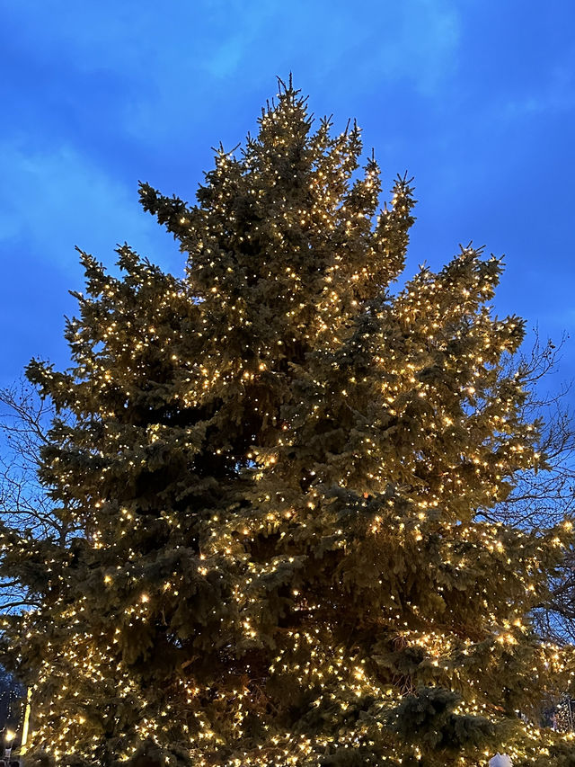 독일의 크리스마스란 이런 것🎄드레스덴 아우구스투스 마켓