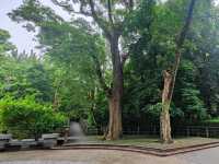 #臺北植物園-臺北市中正區