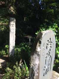 【鎌倉アルプス:北鎌倉・山之内・今泉の秘境から二階堂まで。散在ヶ池公園・陰陽滝・天園ハイキングコース 】