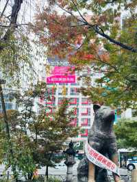 東京｜一日遊｜探索澀谷的魅力之旅 🌟