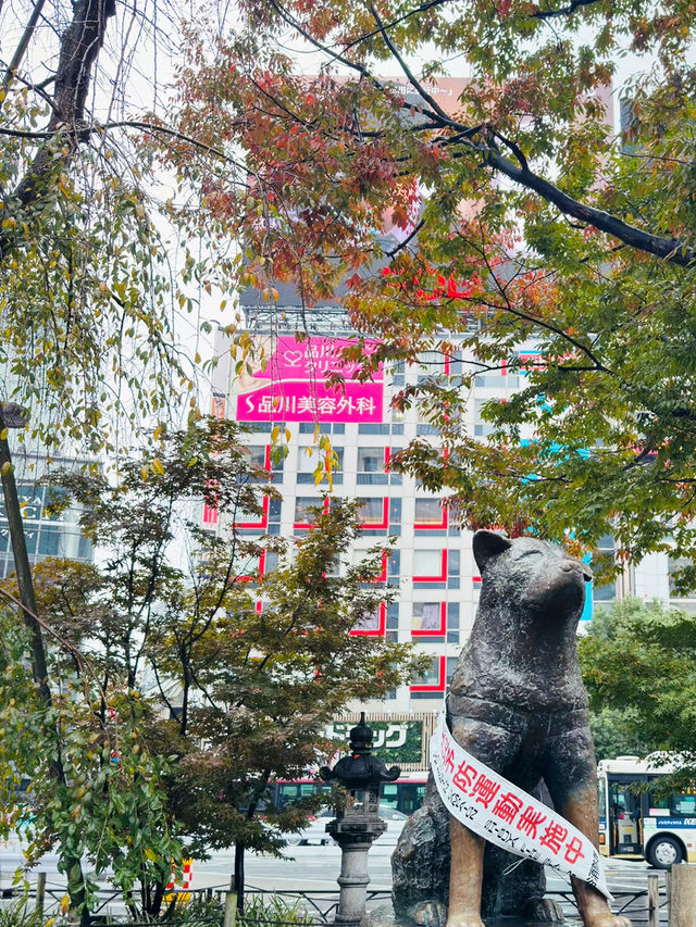 東京｜一日遊｜探索澀谷的魅力之旅 🌟