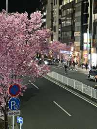 東京賞櫻攻略：中目黑、澀谷、中野、芝公園，一次蒐集所有粉嫩美景！🌸