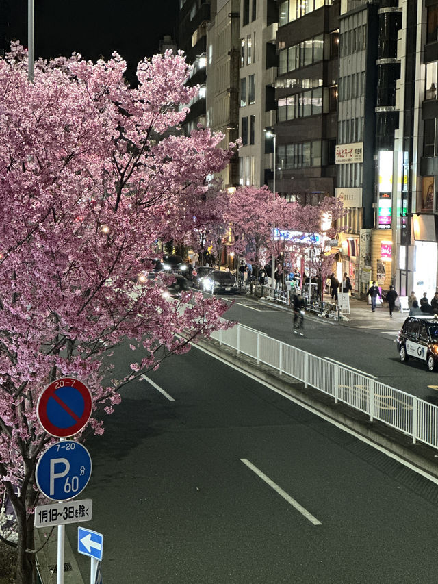東京賞櫻攻略：中目黑、澀谷、中野、芝公園，一次蒐集所有粉嫩美景！🌸