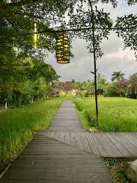 Pison Ubud , Bali 