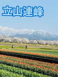 【富山】日帰り旅！