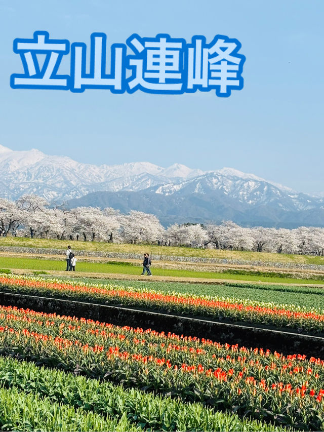 【富山】日帰り旅！