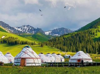 Mongolian steppe