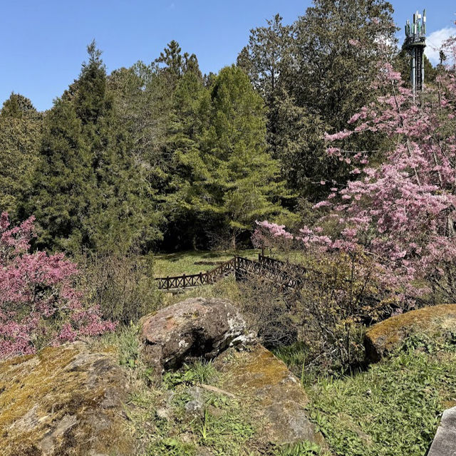 沼平公園 Zhaoping Park