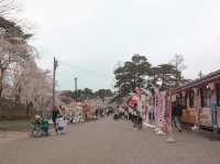 在高田城址公園賞櫻