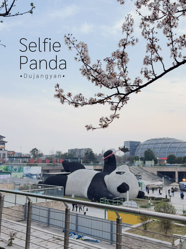 ไปถ่ายรูปกับ Selfie panda ที่ Dujiangyan กันเถอะ