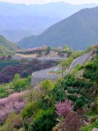 Fujishan: A Seasonal Masterpiece of Color and Life