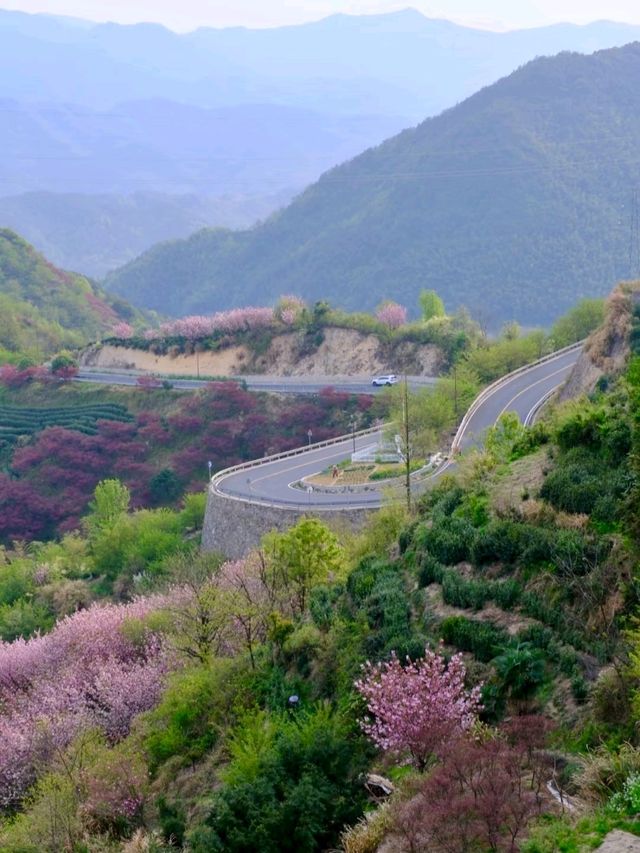 Fujishan: A Seasonal Masterpiece of Color and Life