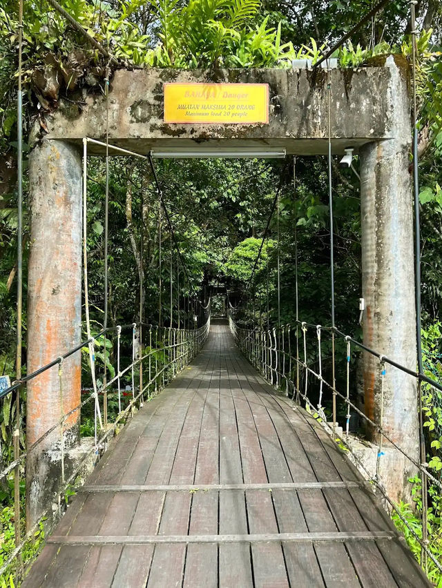 Gunung Mulu National Park