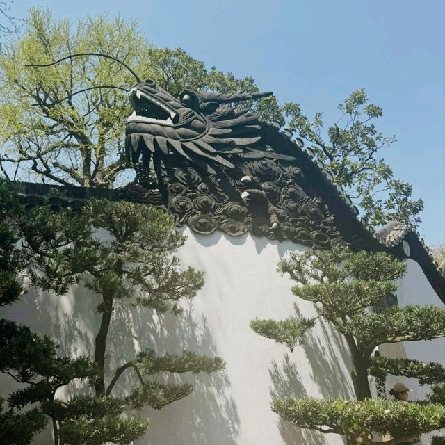 Hidden Haven: The Charm of Yuyuan Garden