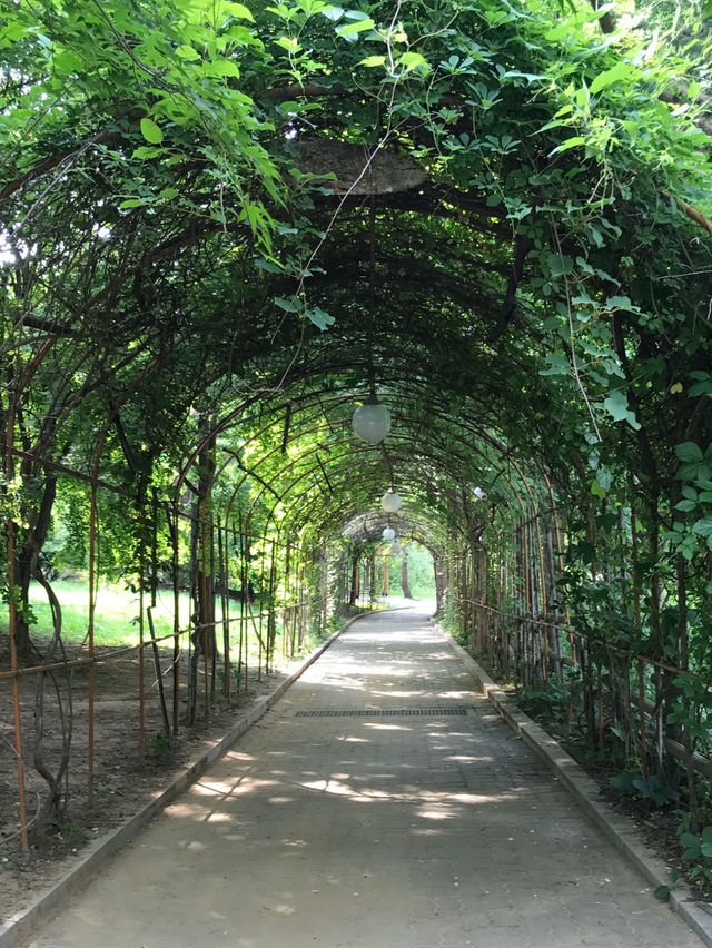 首爾景點｜首爾兒童大公園免費參觀動物園💜