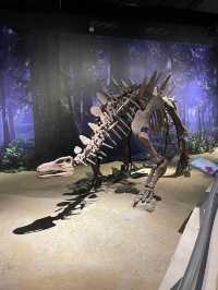The Jurassic Research Centre 