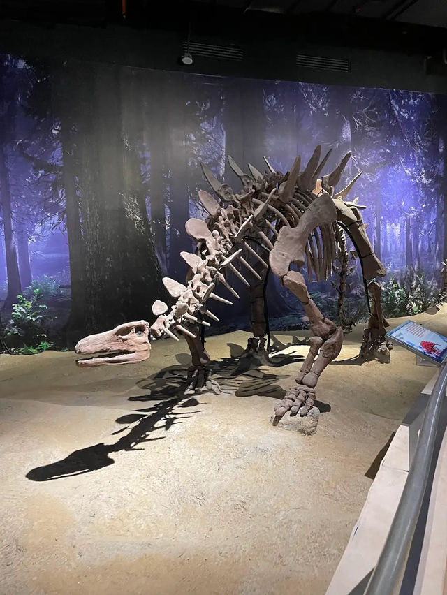 The Jurassic Research Centre 