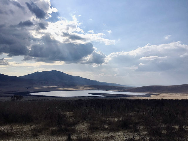恩戈羅恩戈羅火山口｜大自然打造的動物王國