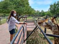 Khao Kheow Open Zoo 